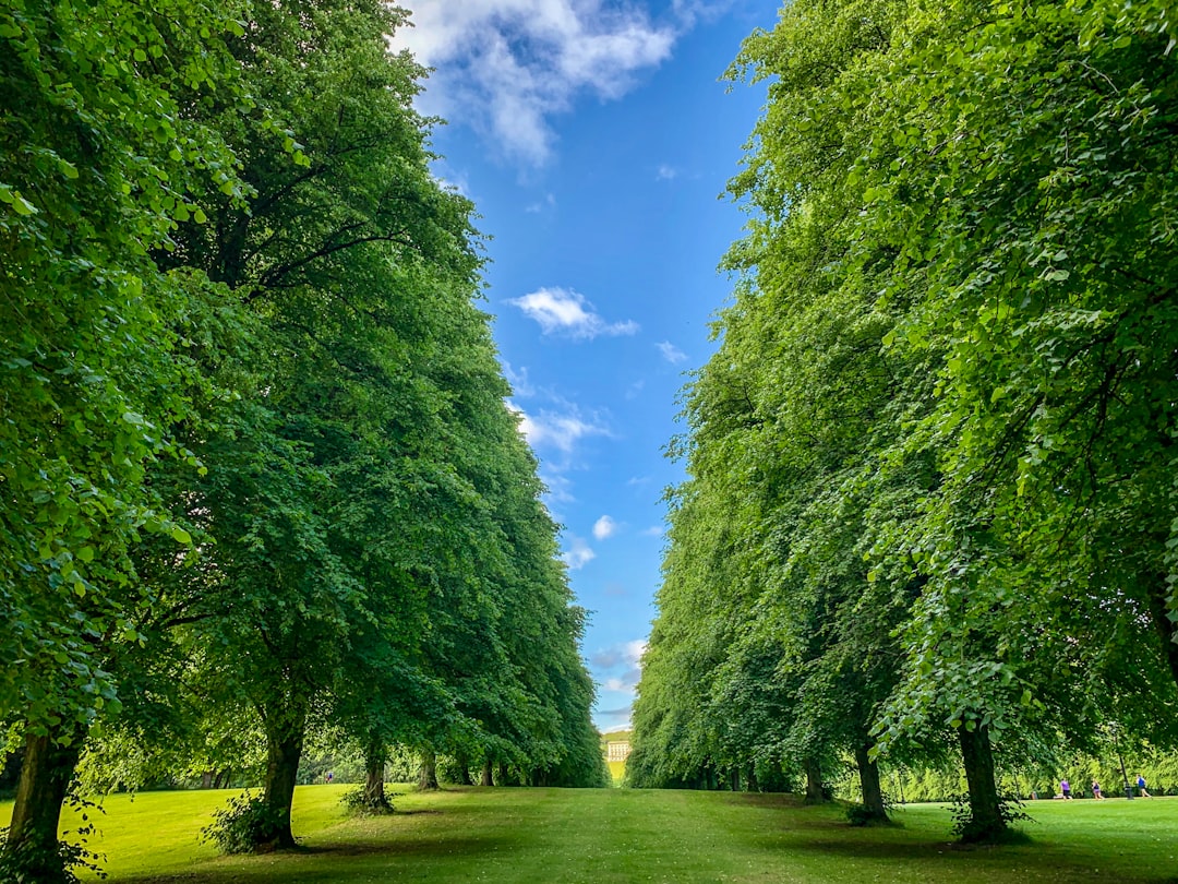 Photo Green park